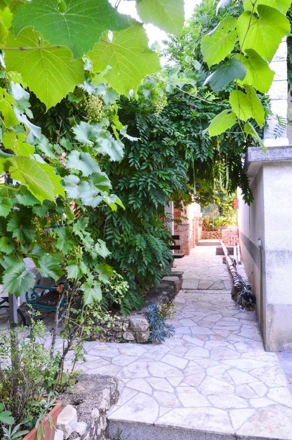 Apartment Zoja Pinezići Екстериор снимка