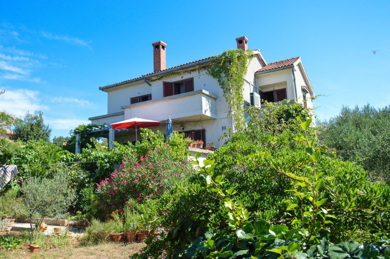 Apartment Zoja Pinezići Екстериор снимка