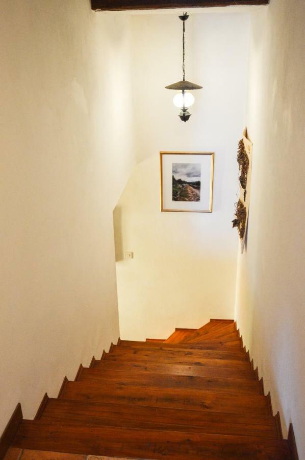 Apartment Zoja Pinezići Екстериор снимка