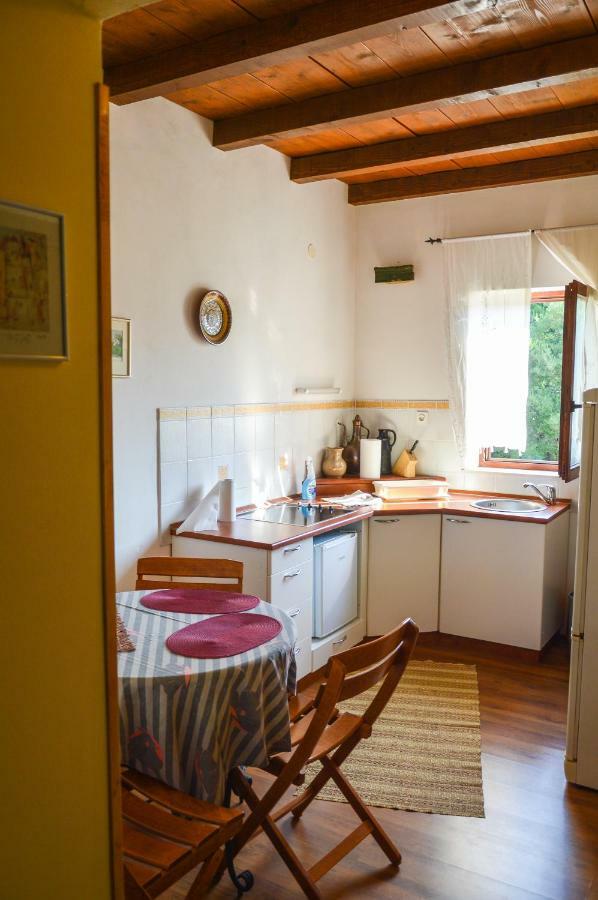 Apartment Zoja Pinezići Екстериор снимка